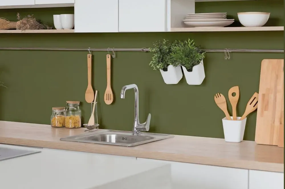 Behr Secret Meadow kitchen backsplash