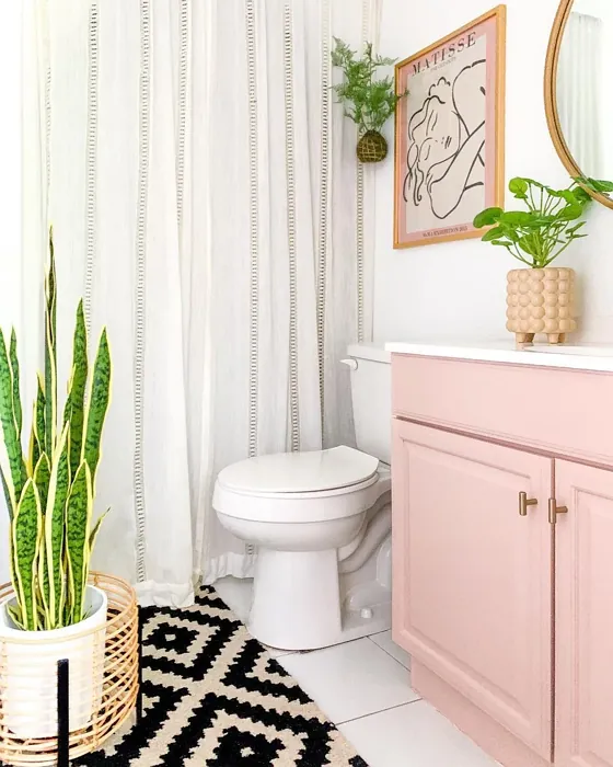 Behr Sedona Pink bathroom vanity 