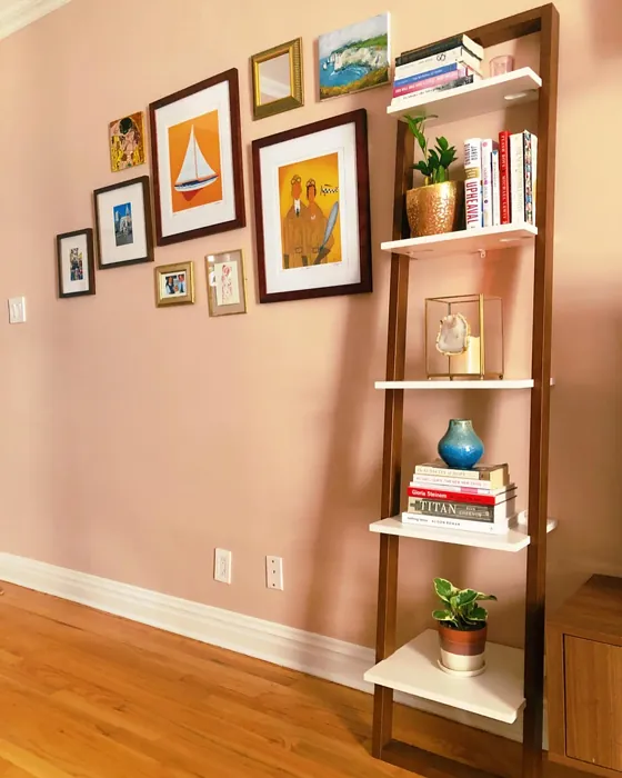 Behr Sedona Pink home office color