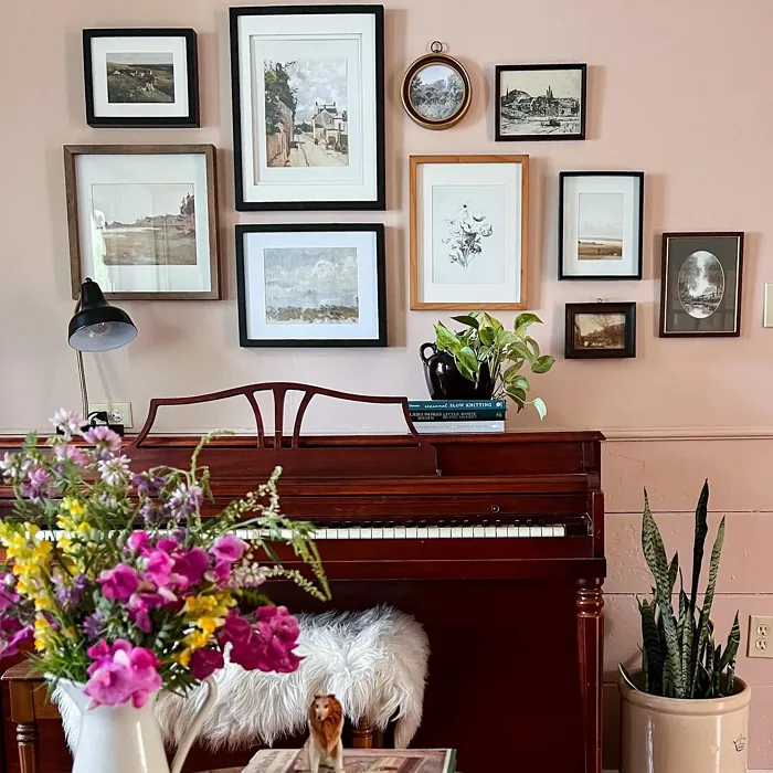 Behr Sedona Pink wall paint 