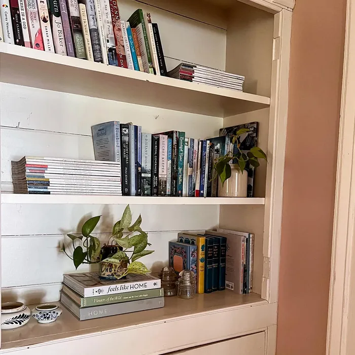 Behr Sedona Pink wall paint color