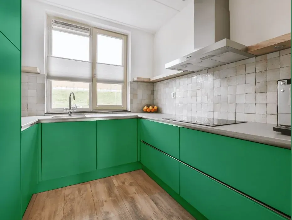 Behr Shamrock Green small kitchen cabinets