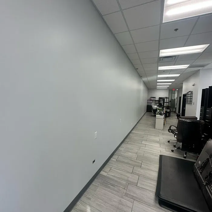 N500-1 wall paint color