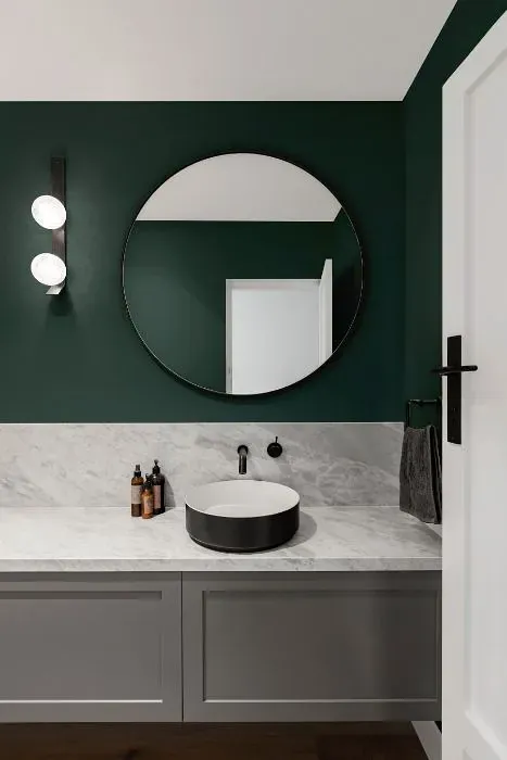Behr Silken Pine minimalist bathroom