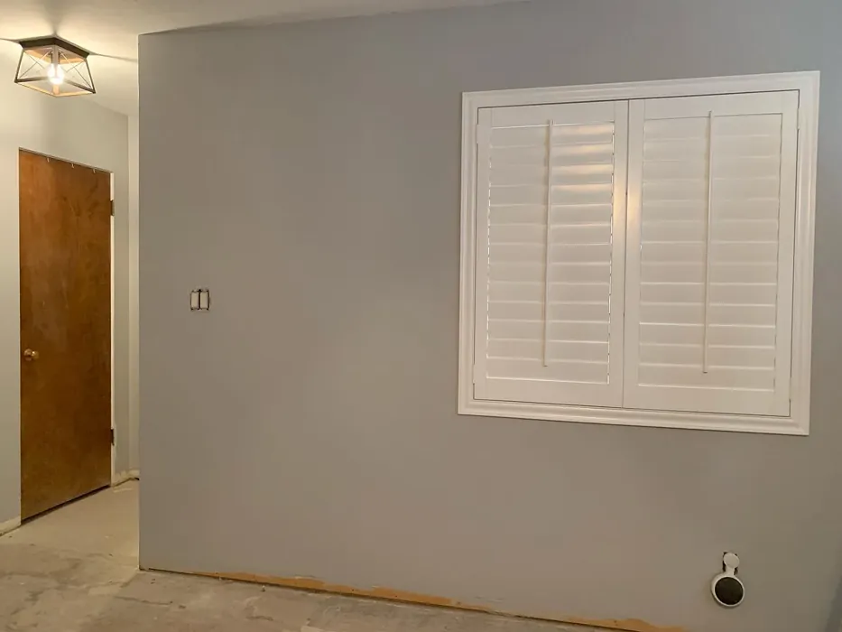 Behr Silver Bullet wall paint 
