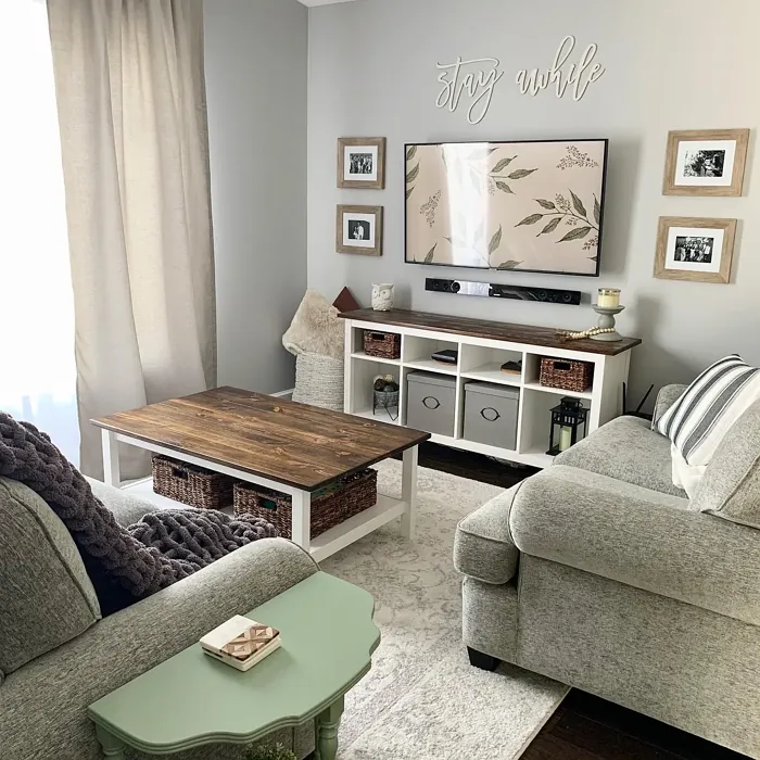 Behr Silver Bullet modern living room color