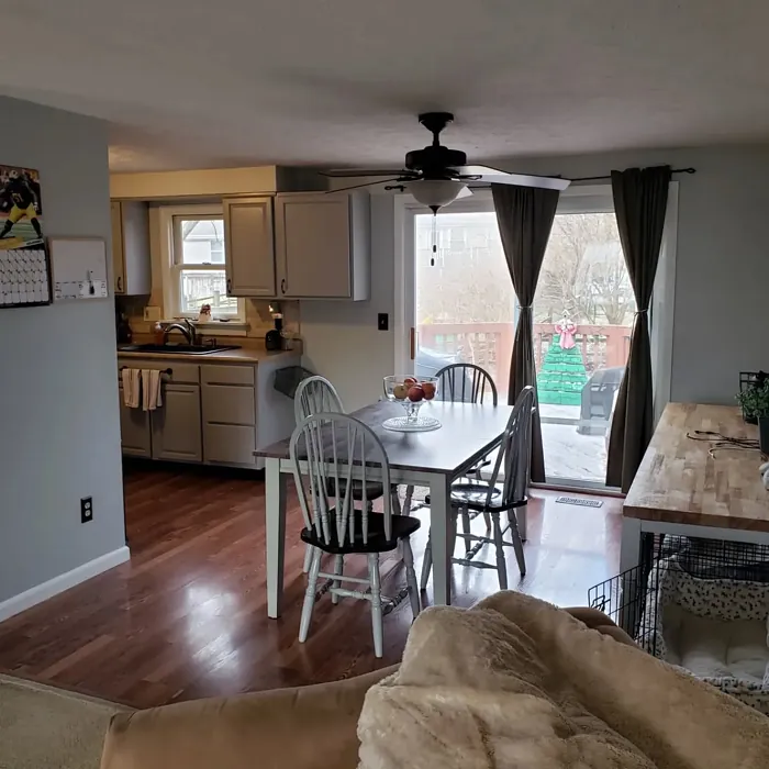 Behr Silver Marlin dining room color