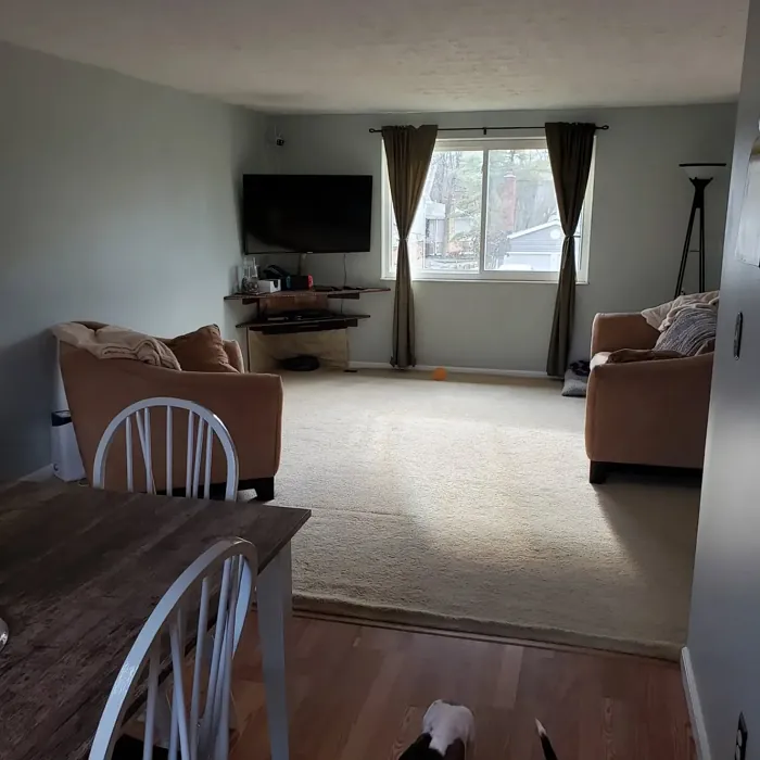 Behr Silver Marlin living room color