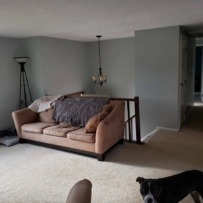 Behr Silver Marlin living room interior