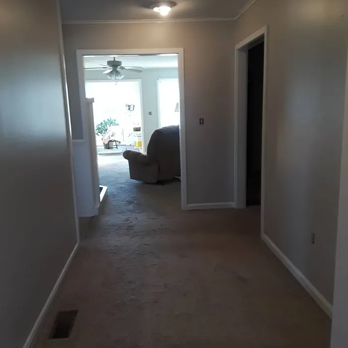 Behr Silver Marlin hallway color