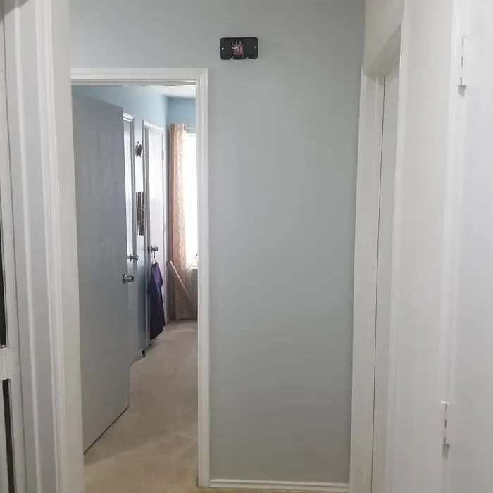 Behr Silver Marlin hallway paint review