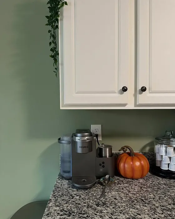 Behr Simply Sage kitchen color