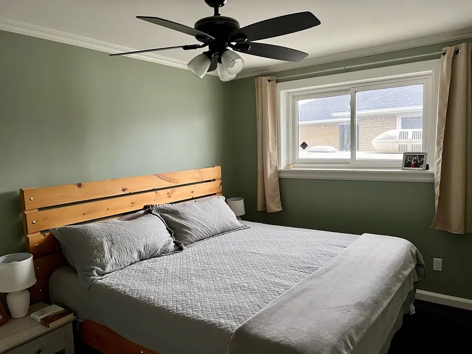 Behr Simply Sage bedroom interior