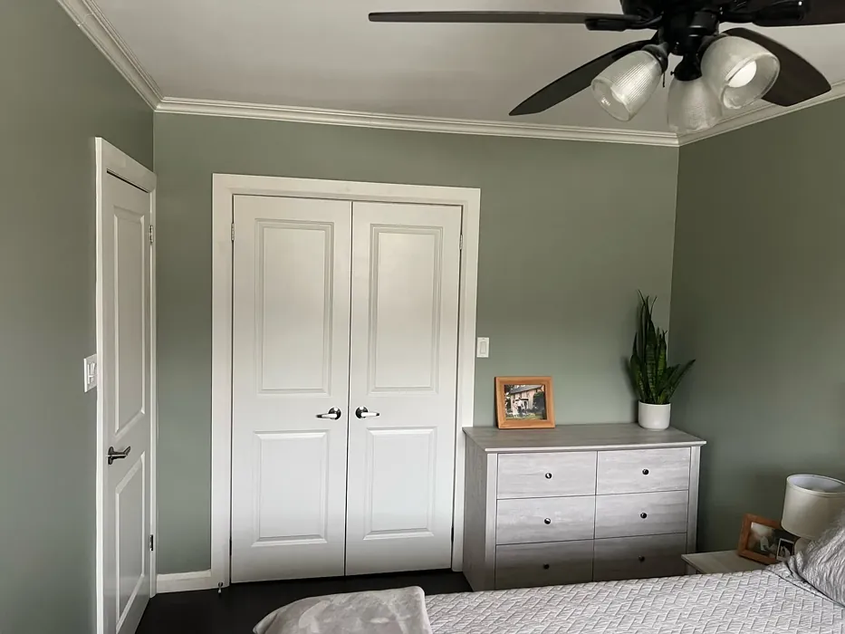 Behr Simply Sage bedroom color review