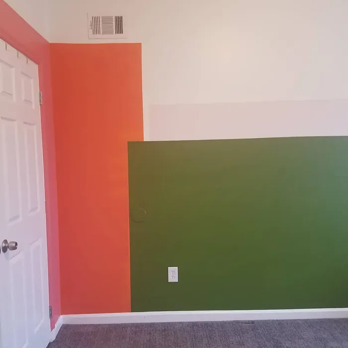 Behr Sizzling Sunset bedroom paint