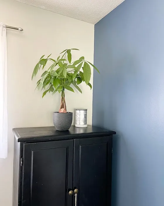 Behr Skinny Jeans accent wall color