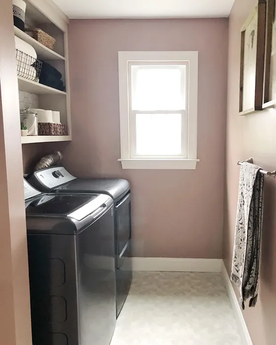 Behr Sonora Rose laundry room color review