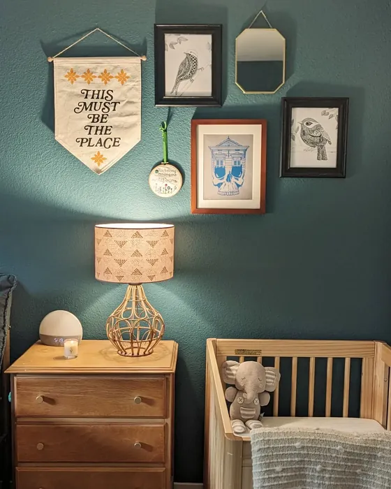 Sophisticated Teal kids' room color