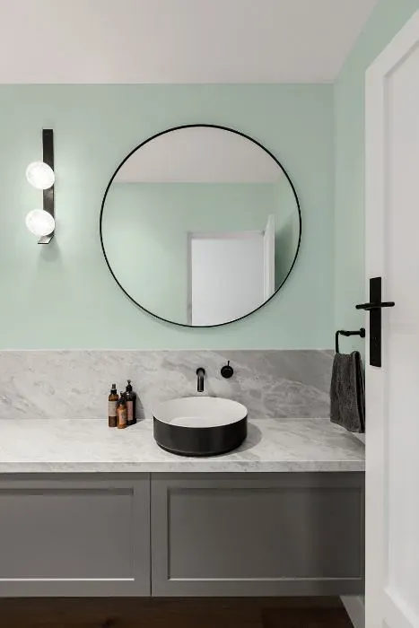 Behr Sparkling Brook minimalist bathroom