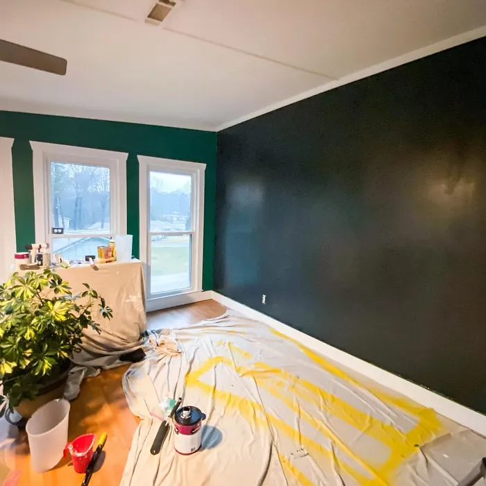 Behr Sparkling Emerald living room paint