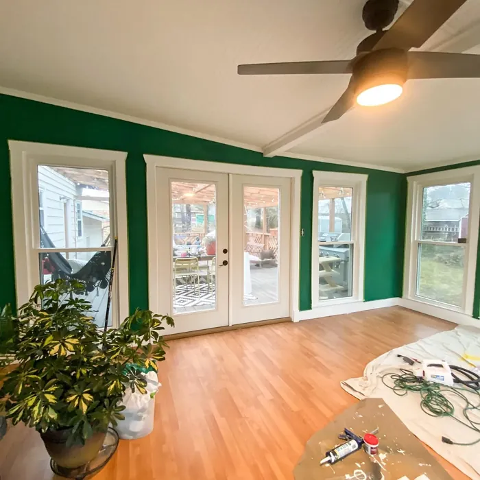 Behr Sparkling Emerald living room paint review