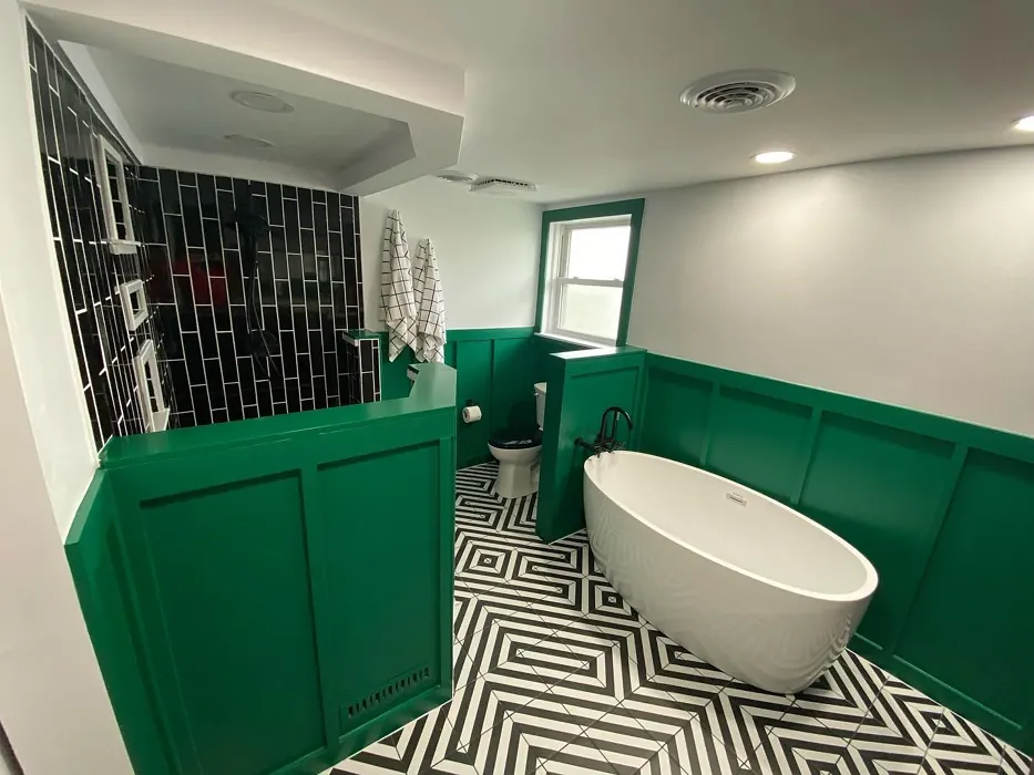 Behr Sparkling Emerald bathroom wall panelling color
