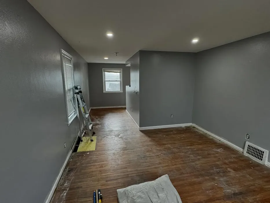 Behr Sparrow wall paint 