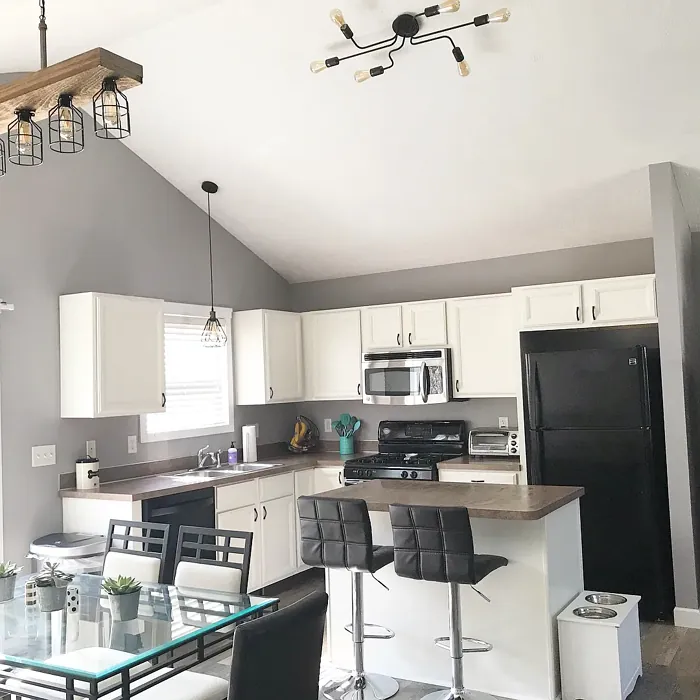 Behr Sparrow kitchen color