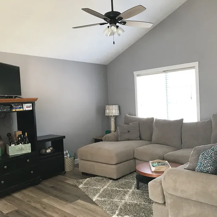 Behr Sparrow living room color