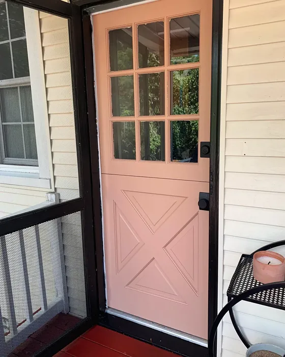 Behr Spiced Brandy front door paint