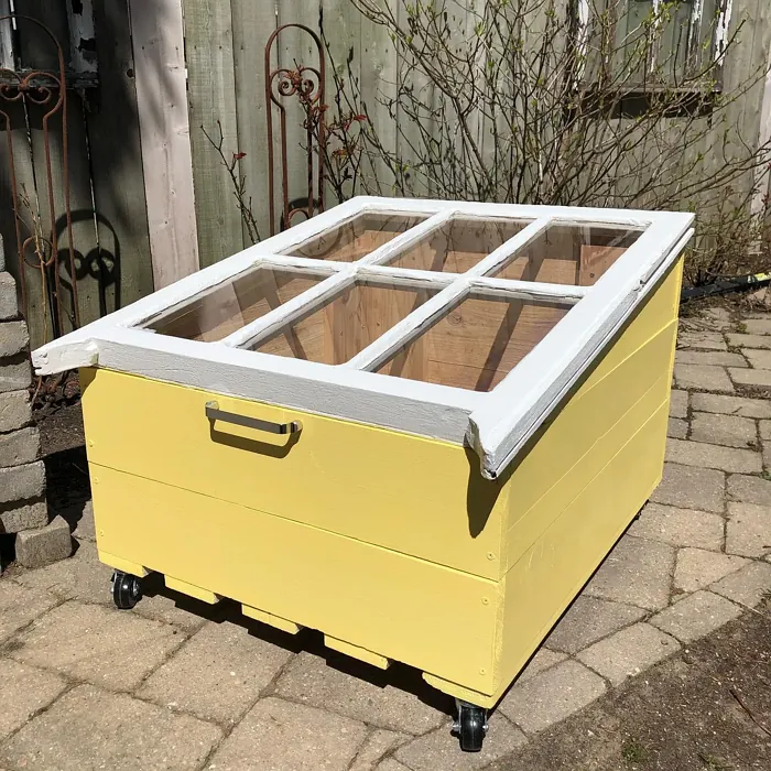 Spirited Yellow review 