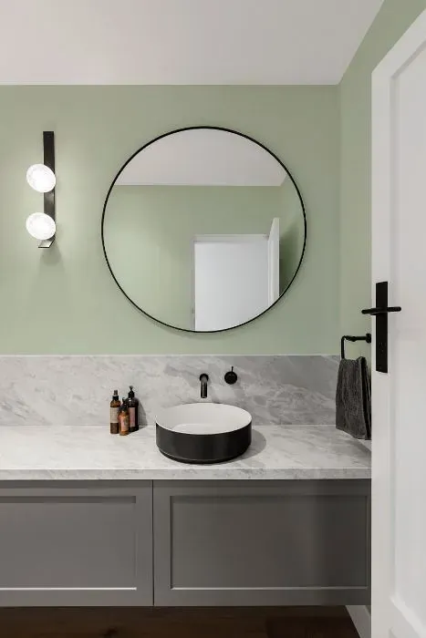 Behr Spring Valley minimalist bathroom