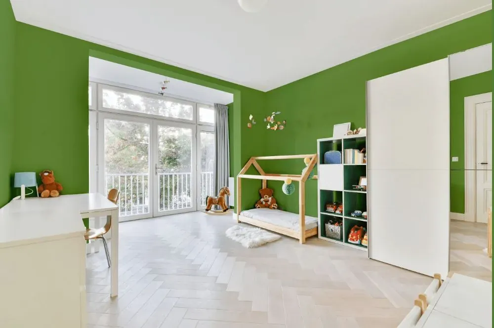 Behr Springview Green kidsroom interior, children's room