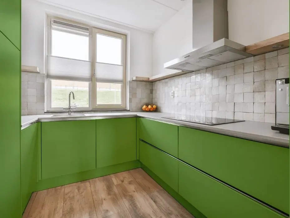 Behr Springview Green small kitchen cabinets