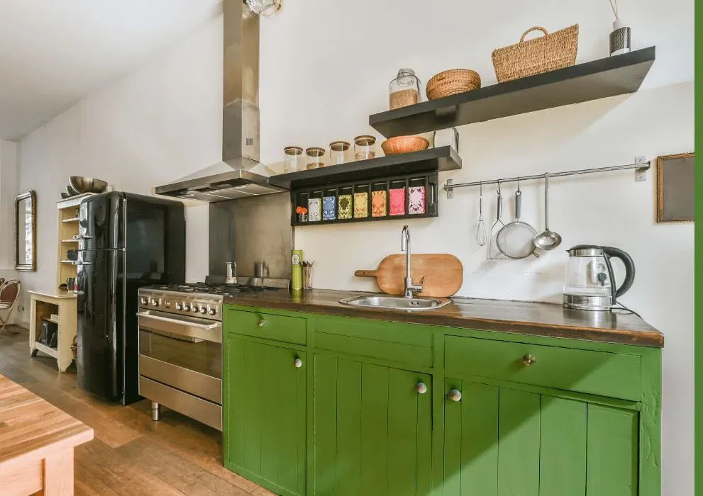 Behr Springview Green kitchen cabinets