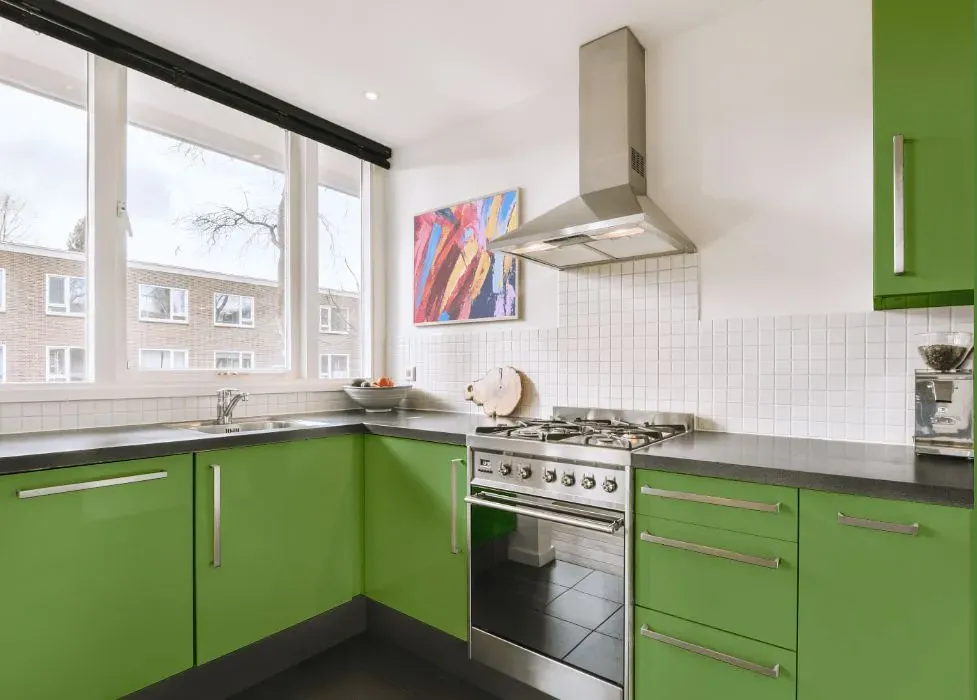Behr Springview Green kitchen cabinets