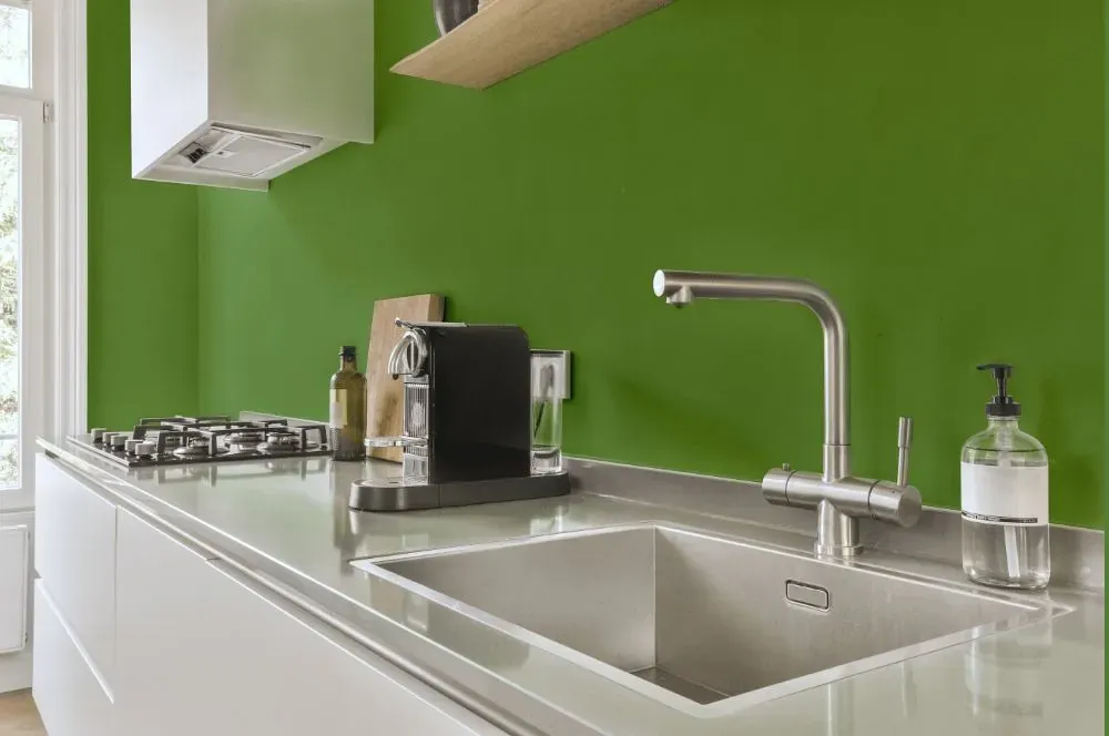 Behr Springview Green kitchen painted backsplash