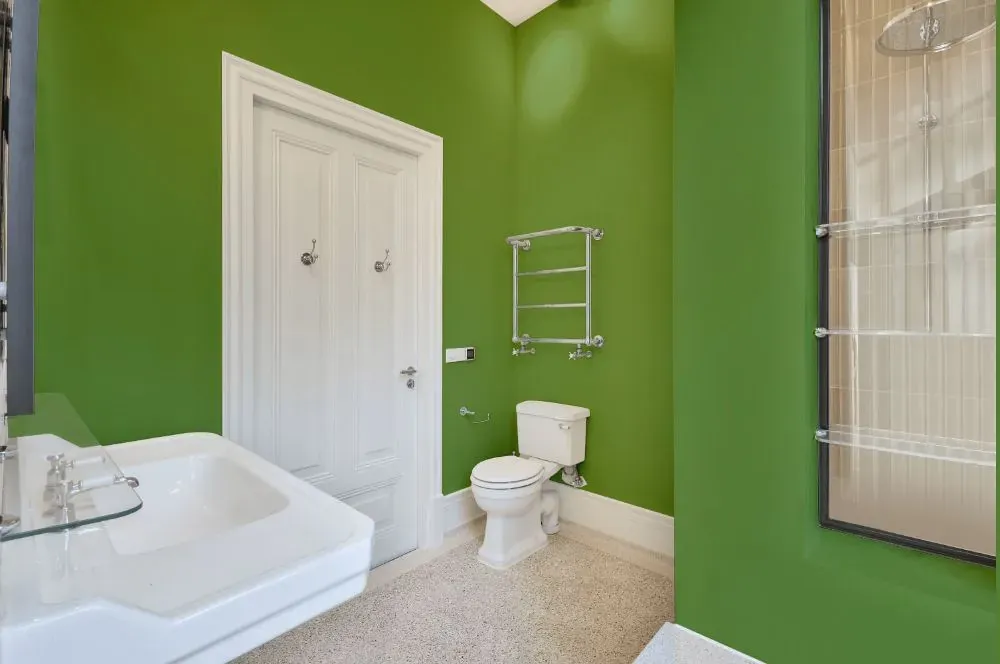 Behr Springview Green bathroom