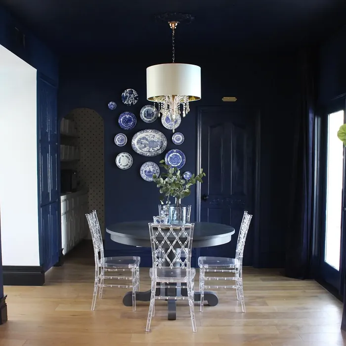 Behr Starless Night dining room color paint