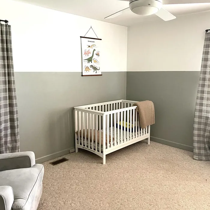 Behr Strong Winds kids' room color-block