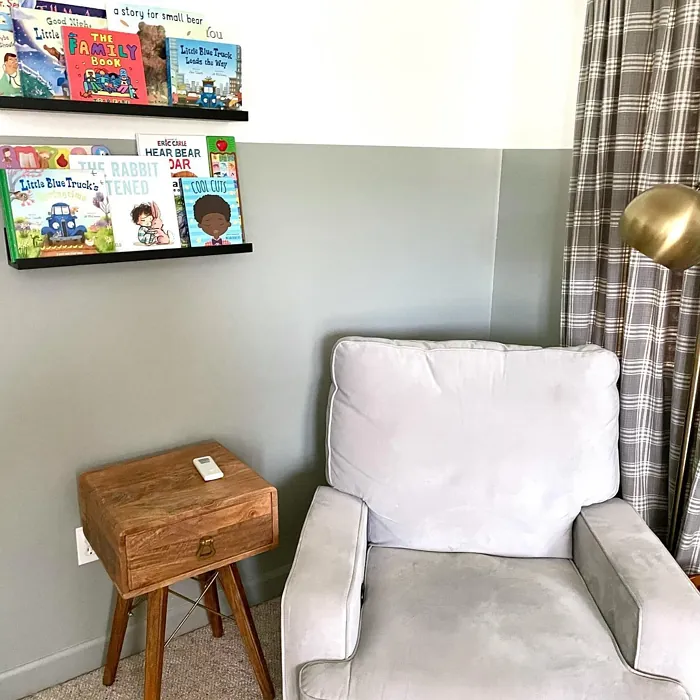 Behr Strong Winds nursery 