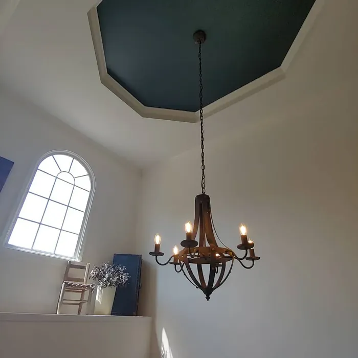 Behr Submarine Gray ceiling paint