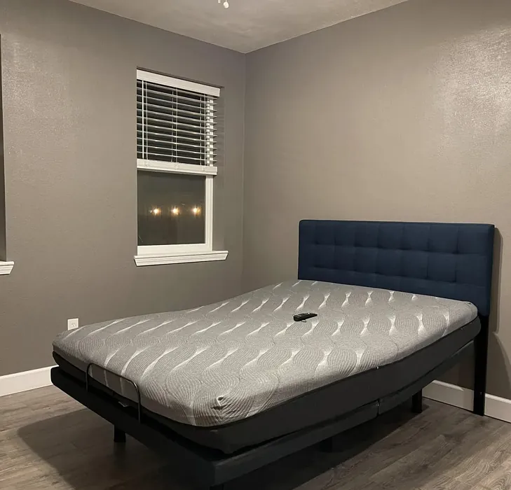Behr Suede Gray bedroom color review