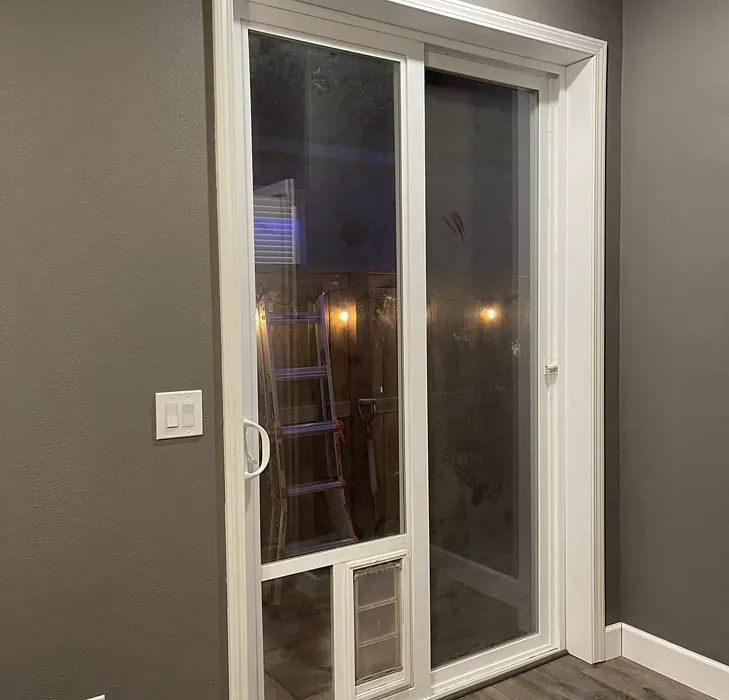 Behr Suede Gray wall paint photo