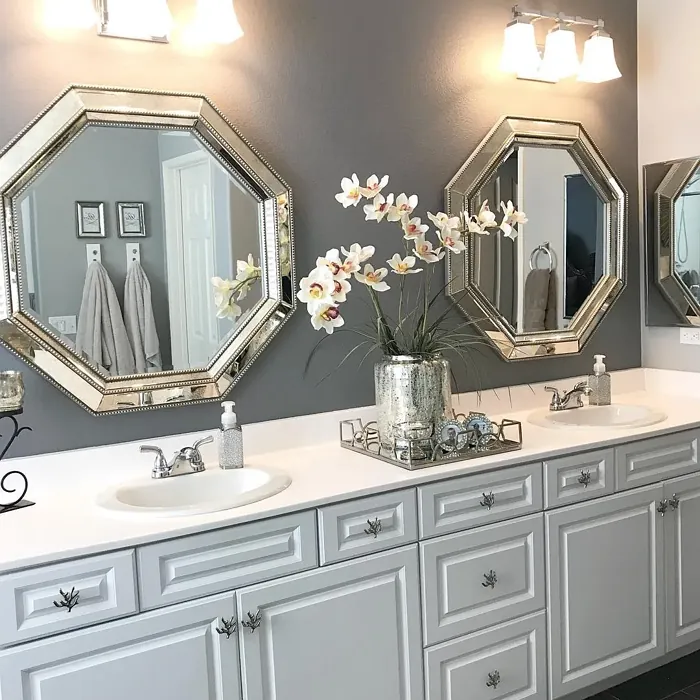 Behr Suede Gray bathroom accent wall