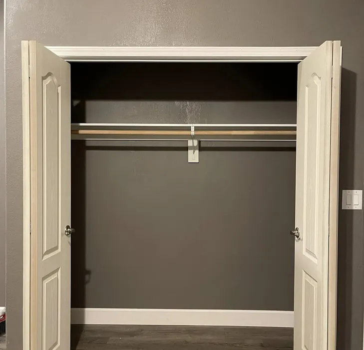 Behr Suede Gray paint review