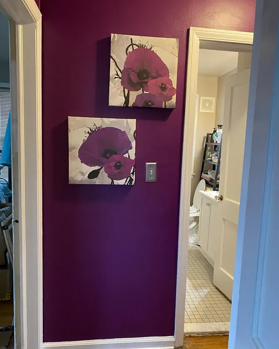 Behr P100-7 hallway color review