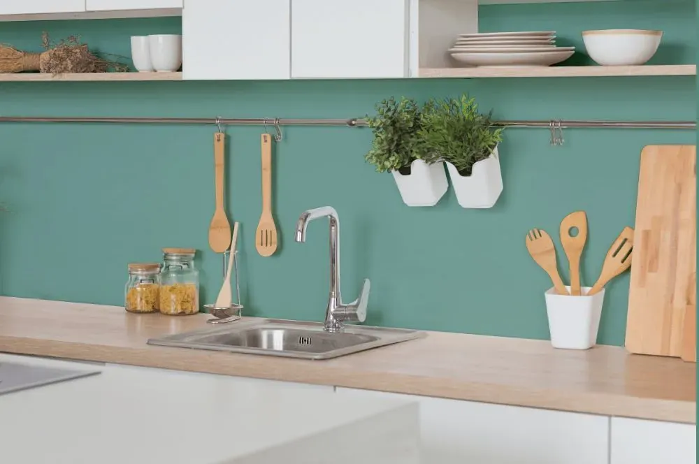 Behr Summer Dragonfly kitchen backsplash