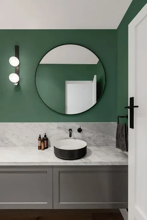 Behr Sycamore Grove minimalist bathroom