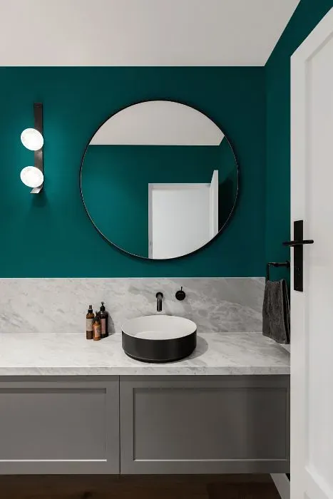 Behr Teal Motif minimalist bathroom